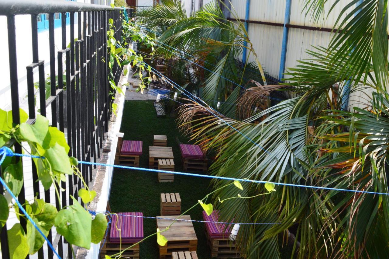 Groove House Hostels Kolombo Bagian luar foto
